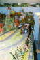 Doyne035